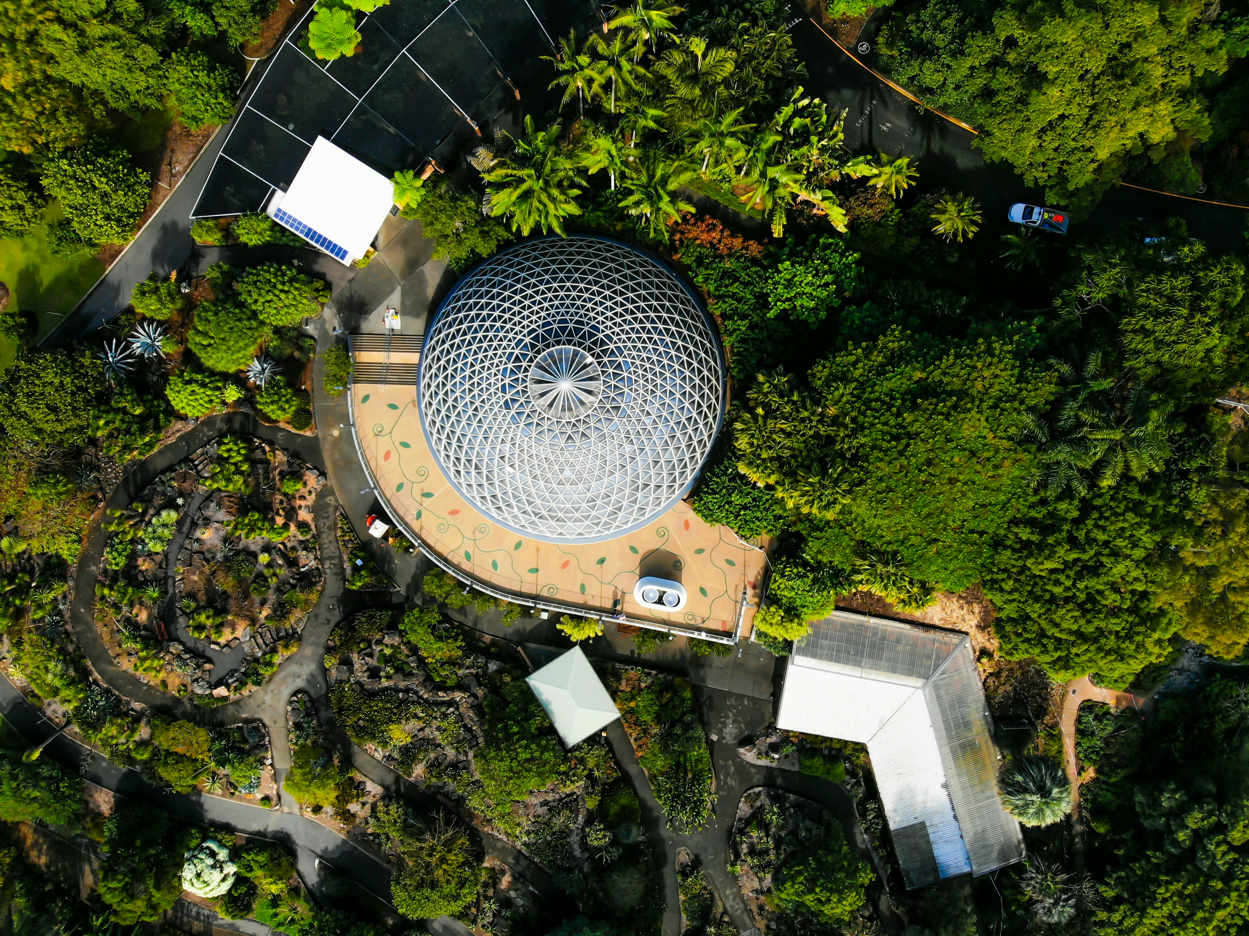 areal photography of round gray building surrounded by trees